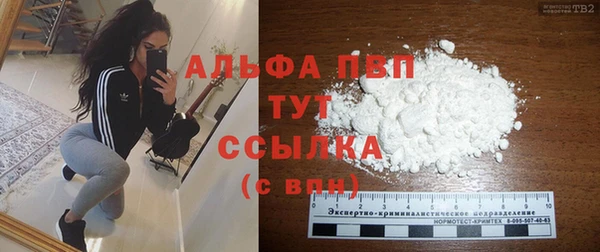 сатива Абаза