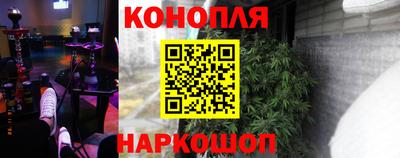 a pvp Кингисепп