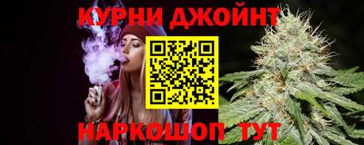 a pvp Кингисепп