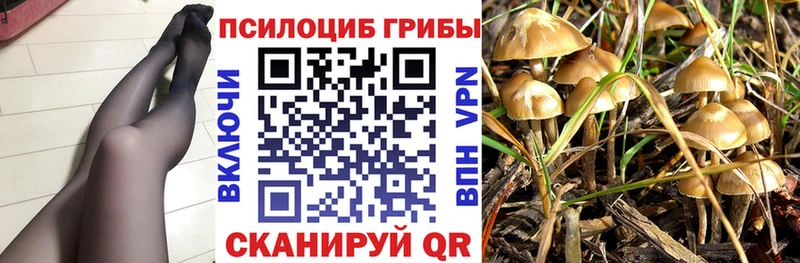 ОМГ ОМГ сайт  Советская Гавань  Псилоцибиновые грибы мицелий 