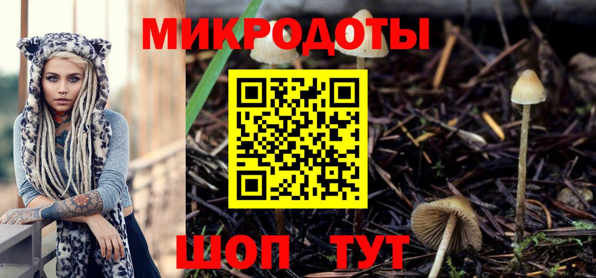 Псилоцибиновые грибы MAGIC MUSHROOMS  хочу   Советская Гавань  Вход с VPN 