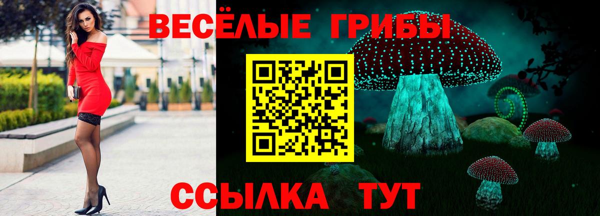 Галлюциногенные грибы MAGIC MUSHROOMS Советская Гавань
